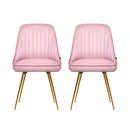 Artiss Set of 2 Dining Chairs Retro Chair Cafe Kitchen Modern Iron Legs Velvet Pink