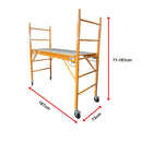 Safety Scaffolding Ladder - 450KG