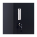 Standard Lock 4-Door Vertical Locker for Office Gym Shed School Home Storage Black