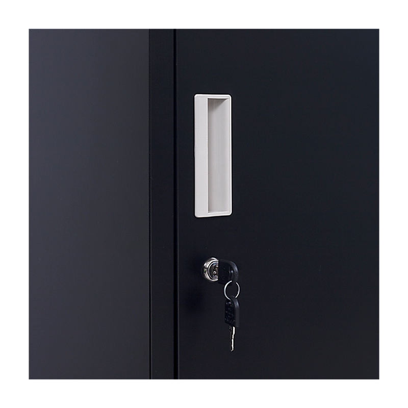 Standard Lock 4-Door Vertical Locker for Office Gym Shed School Home Storage Black