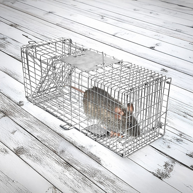 Trap Humane Possum Cage Live Animal Safe Catch Rabbit Cat Hare Fox Bird