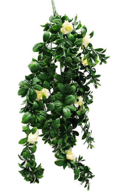 Hanging White Rose Stem UV 85cm