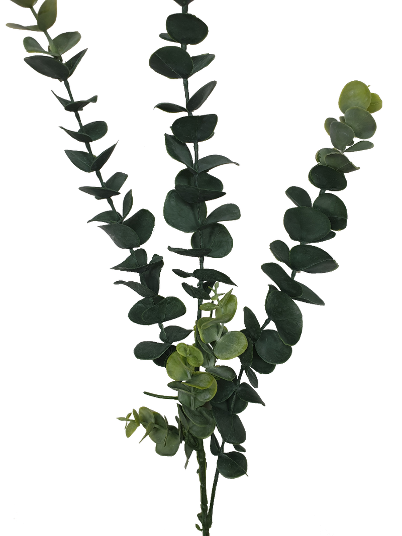 5 Pack - Long Eucalyptus Stem 77 cm