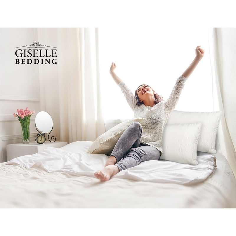 Giselle Bedding Set of 2 Visco Elastic Memory Foam Pillows