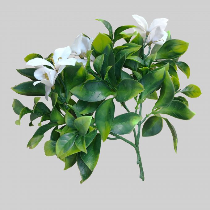 White Flowering Jasmine Stem UV Resistant 30cm